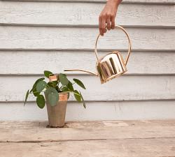 Copper Plated Watering Can