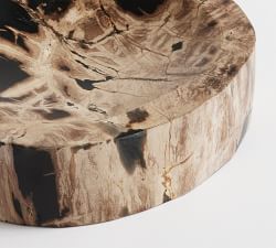 Petrified Wood Decorative Bowl