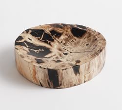 Petrified Wood Decorative Bowl