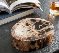 Petrified Wood Decorative Bowl