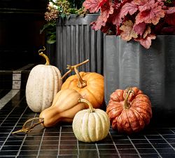 Faux Pumpkins &amp; Gourds - Set of 5