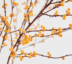 Faux Bittersweet Branch