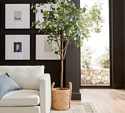 Faux Silver Dollar Eucalyptus Tree