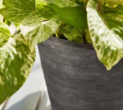 Black Terracotta Outdoor Planters