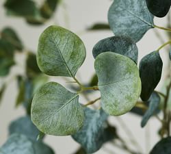 Open Box: Faux Silver Dollar Eucalyptus Tree