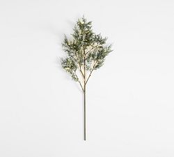 Open Box: Lit Frosted Juniper Berry Branch (48")