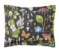 Open Box: Poppy Percale Sham, Standard, Set of 2 - Black