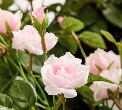 LoveShackFancy Faux Rose Heart Wreath