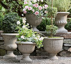 LoveShackFancy Planter Collection