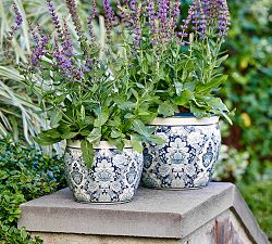 Kravet Arboretum Cachepots