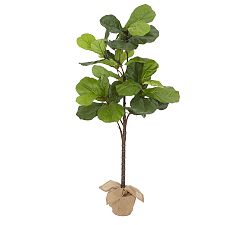 Open Box: Faux Potted Fiddle Leaf Fig Tree, Medium, 7'