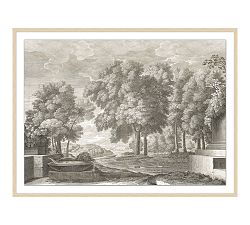 Etched Garden Framed Print