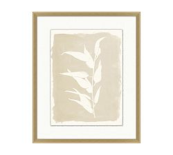 Open Leaves Framed Print