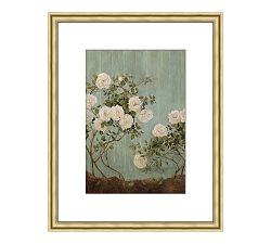 Summer Roses Framed Print by Carleigh Courey