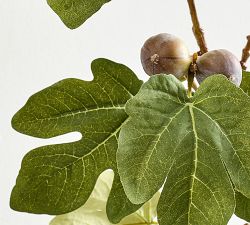 Faux Green Fig Branch