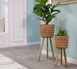 Emilia Bamboo Raised Planters, Set of 2