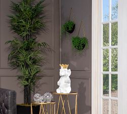 Arabella Half Sphere Hanging Wall Planters, Set of 2 - Black