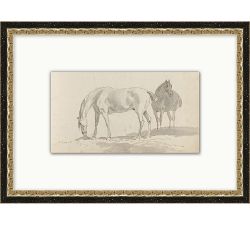 Sketched Horses Framed Print