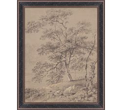 Scene Study With Tree Framed Print