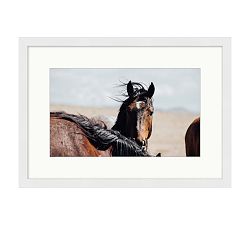 Lone Star by Meg Haywood Sullivan