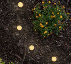 Mini LED Landscape Lights