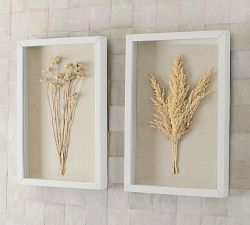 Dried Botanicals Shadowbox
