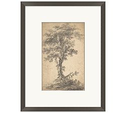 Single Tree Framed Print
