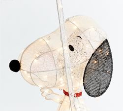 Peanuts™ Lit Snoopy™ With Boo Sign