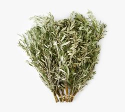 Live Olive Leaves Bunches