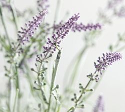 Faux Potted Lavender in Terracotta Pot
