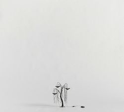 Lit Twinkling Willow Tree