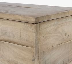 Dupree Storage Trunk (60")