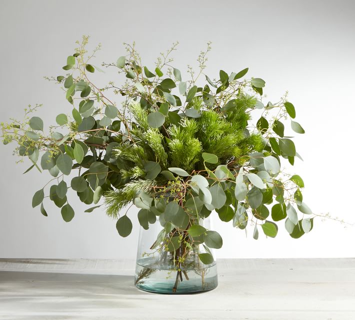 Live Wooly Bush & Seeded Eucalyptus, 8 Bunches | Pottery Barn