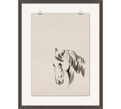 Equestrian Drawing Framed Print