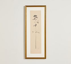 Solitude by Chelsea Fly