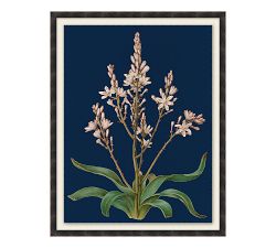 Botanical on Blue Framed Canvas