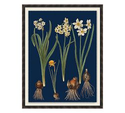 Botanical on Blue Framed Canvas