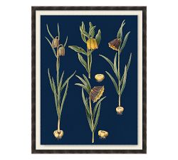 Botanical on Blue Framed Canvas