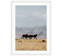 Home on the Ridge by Meg Haywood Sullivan