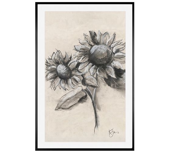 Charcoal Sunflower Sketch by The Artists Studio