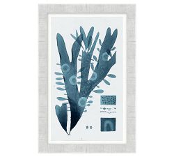 Coastal Blues Gallery Wall