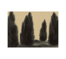 Cypress Grove by Chelsea Fly