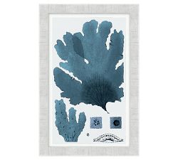 Coastal Blues Gallery Wall