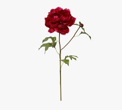 Faux Peony Dozen Stems