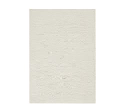 Open Box: Microplush Performance Shag Rug, 4'x6' - Ivory