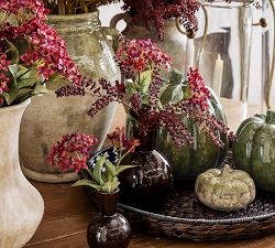 Glossy Green Pumpkin