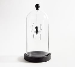 Halloween Spider Cloche