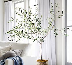 Open Box: Faux Olive Trees