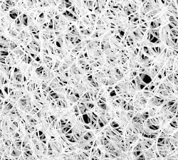 Washable Pet Crate Bed