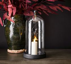 Halloween Spider Cloche